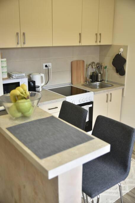 Center Penthouse Duplex Apartment Belgrad