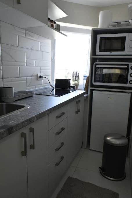 Apartment Center Penthouse Duplex Belgrad
