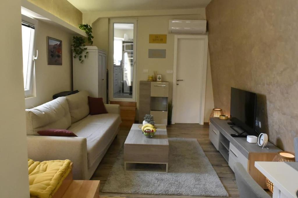 Apartment Center Penthouse Duplex *