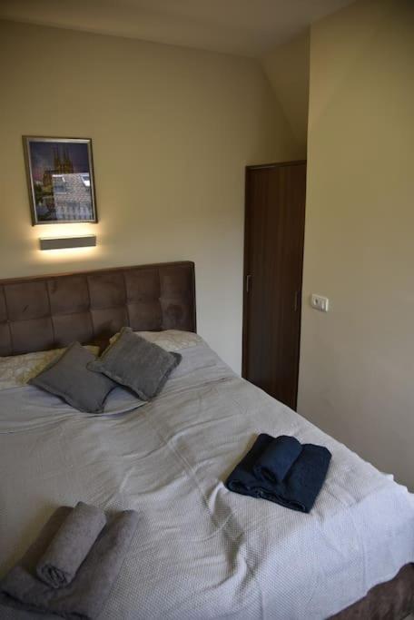 Apartment Center Penthouse Duplex Belgrad