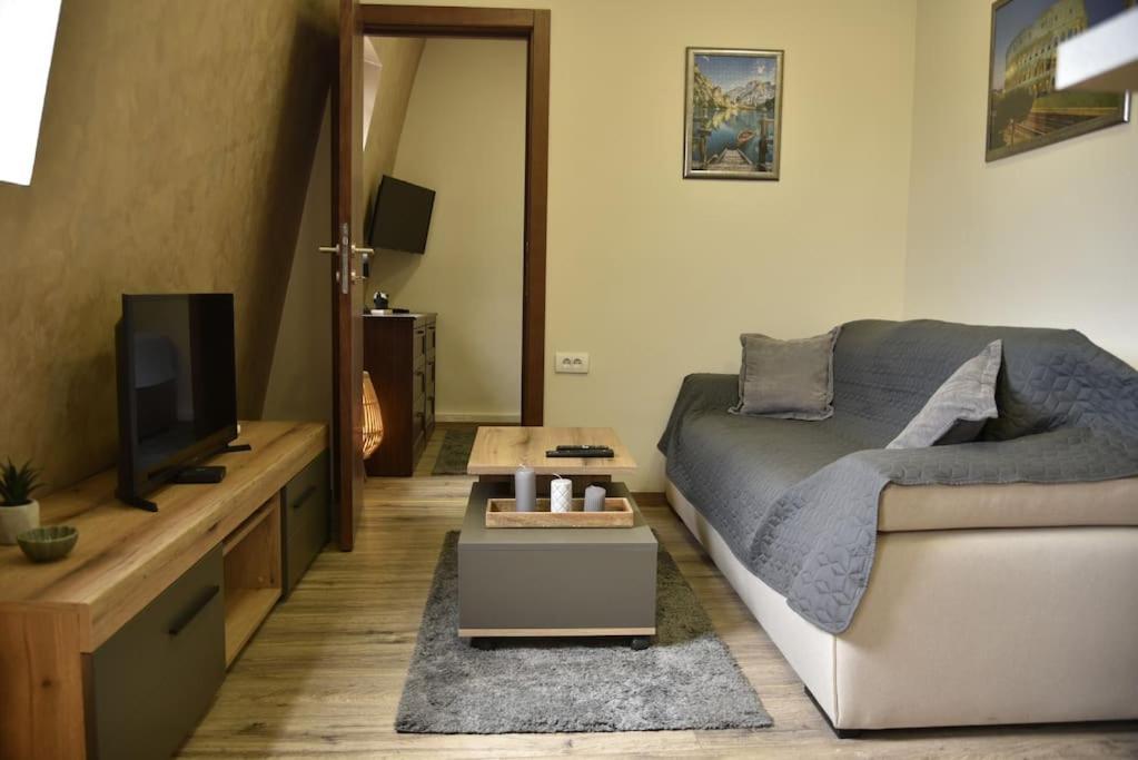 Center Penthouse Duplex Belgrad